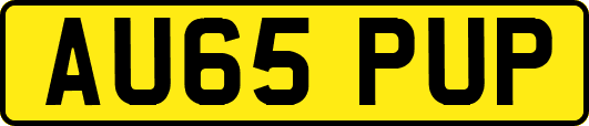 AU65PUP