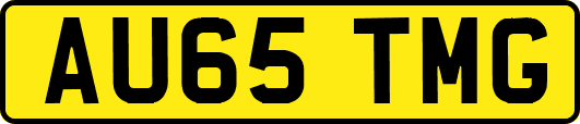 AU65TMG