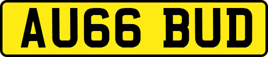 AU66BUD