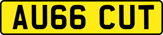 AU66CUT