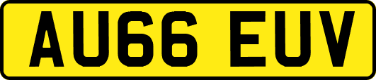 AU66EUV