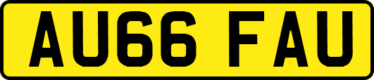 AU66FAU