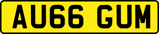 AU66GUM