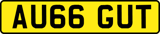 AU66GUT