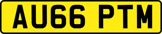 AU66PTM