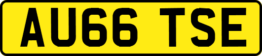 AU66TSE