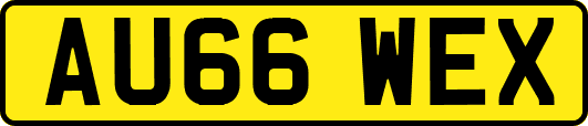AU66WEX