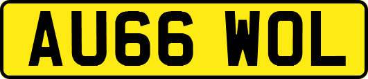 AU66WOL