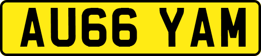 AU66YAM