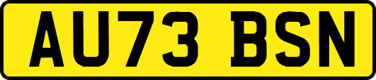 AU73BSN