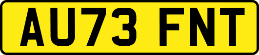 AU73FNT