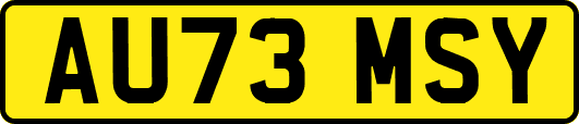 AU73MSY