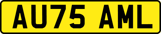 AU75AML
