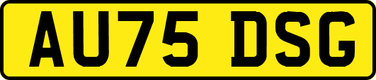 AU75DSG