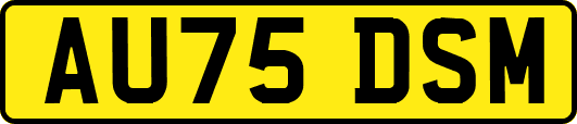 AU75DSM