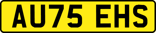 AU75EHS