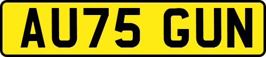 AU75GUN