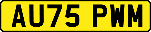 AU75PWM
