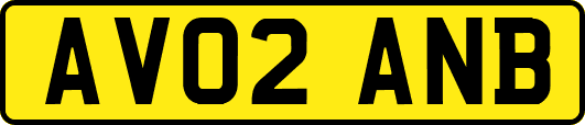 AV02ANB