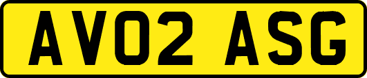 AV02ASG