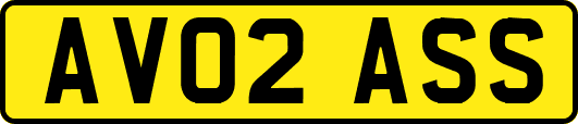 AV02ASS