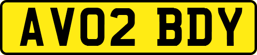 AV02BDY