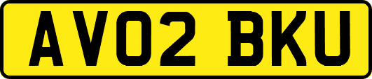 AV02BKU