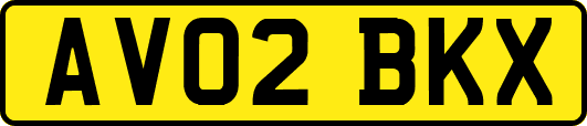 AV02BKX