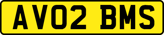 AV02BMS