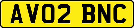 AV02BNC