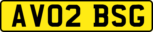AV02BSG