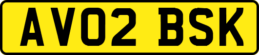 AV02BSK