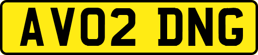 AV02DNG
