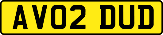 AV02DUD