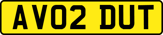 AV02DUT