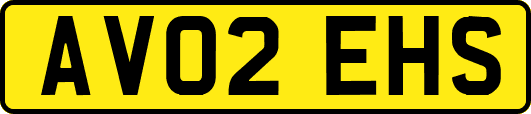 AV02EHS