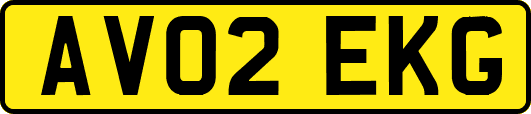 AV02EKG