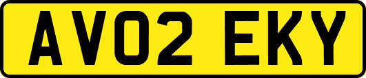 AV02EKY