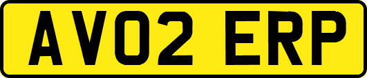 AV02ERP
