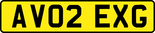 AV02EXG