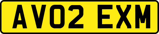 AV02EXM
