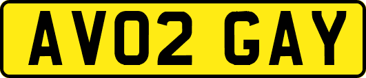 AV02GAY