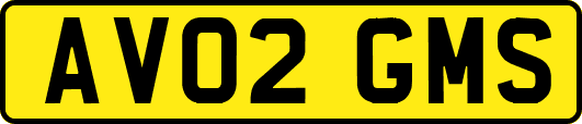 AV02GMS
