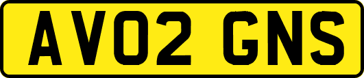 AV02GNS