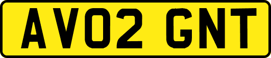AV02GNT