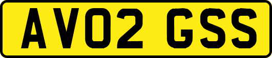 AV02GSS