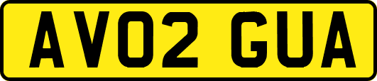 AV02GUA