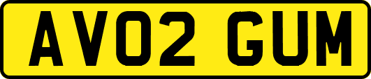 AV02GUM