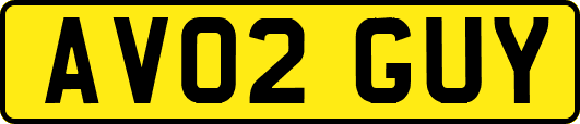 AV02GUY