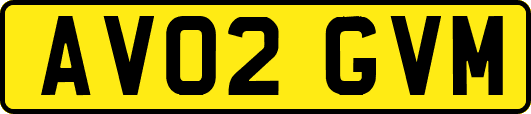 AV02GVM